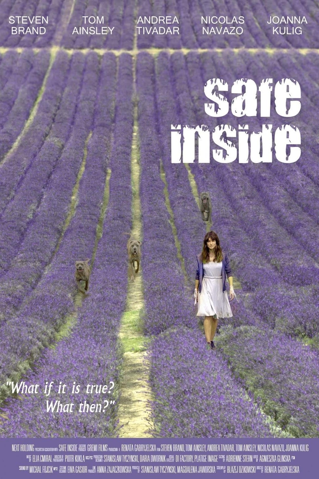 دانلود فیلم Safe Inside 2019 - امن در داخل