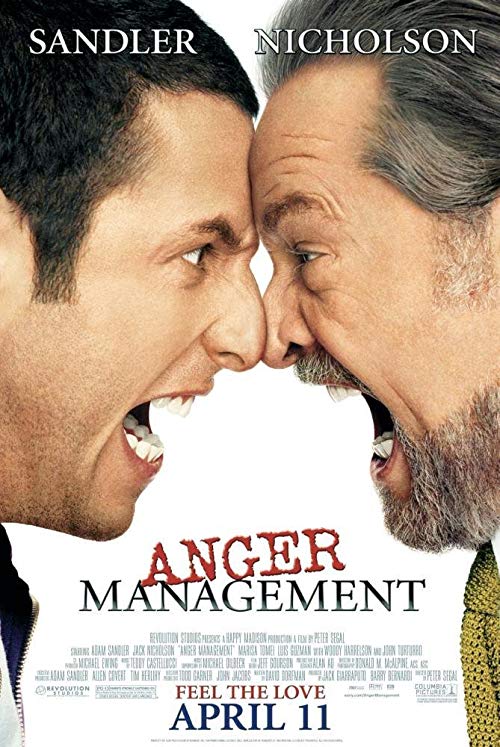 دانلود فیلم Anger Management 2003 - خشم‌درمانی