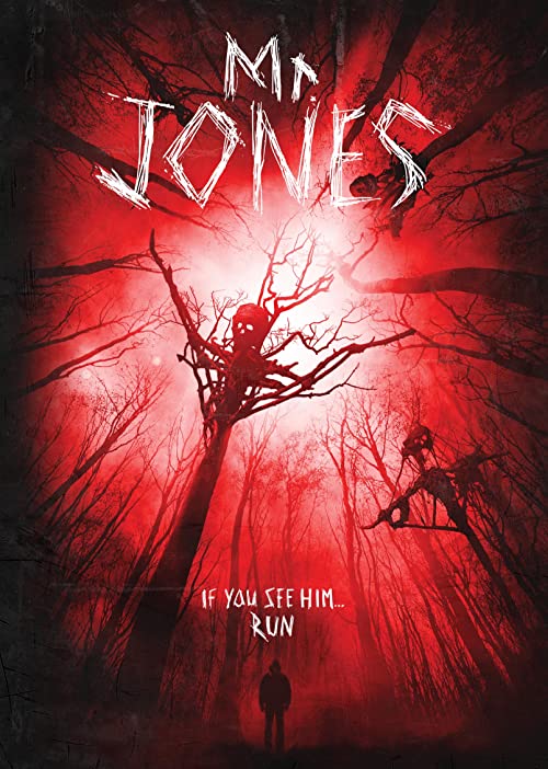 دانلود فیلم Mr. Jones 2013 - آقای جونز