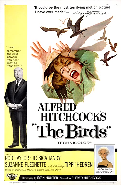 دانلود فیلم The Birds 1963 - پرندگان