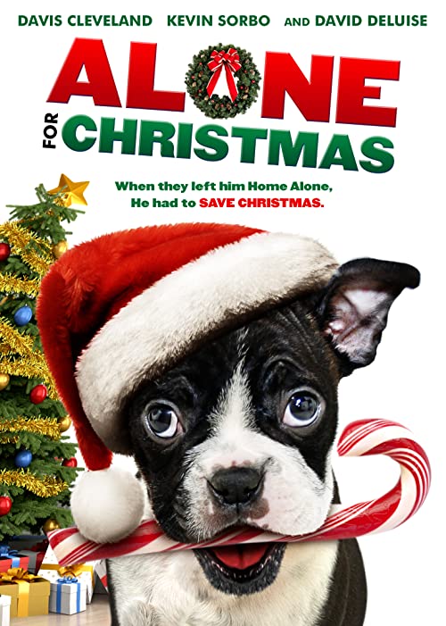 دانلود فیلم Alone for Christmas 2013 - تنها در کریسمس