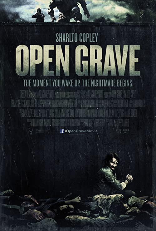 دانلود فیلم Open Grave 2013 - قبر باز