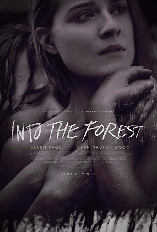 دانلود فیلم Into the Forest 2015 - درون جنگل