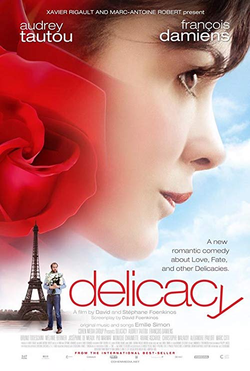 دانلود فیلم Delicacy 2011 - ظرافت