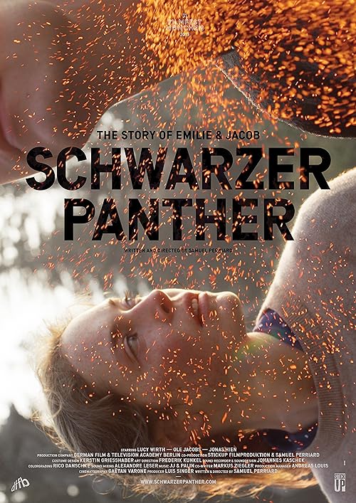 دانلود فیلم Schwarzer Panther 2014 - پلنگ سیاه