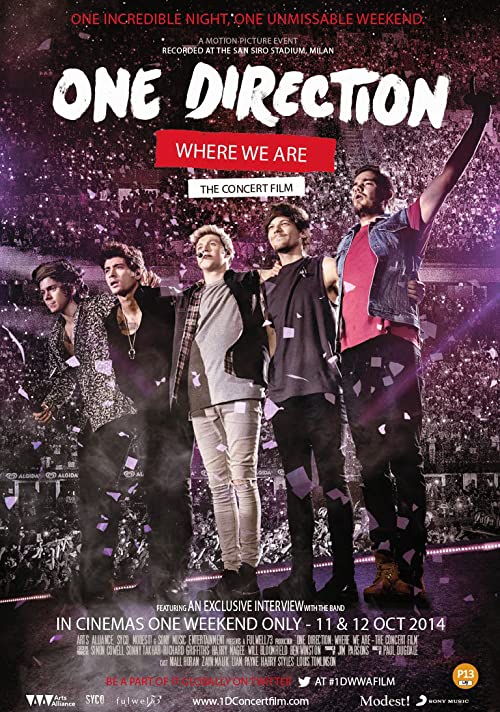 دانلود مستند One Direction: Where We Are - The Concert Film 2014 - وان دایرکشن: جایی که ما هستیم - فیلم کنسرت