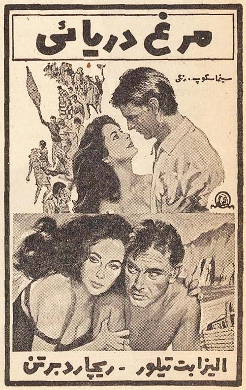دانلود فیلم The Sandpiper 1965 با زیرنویس فارسی