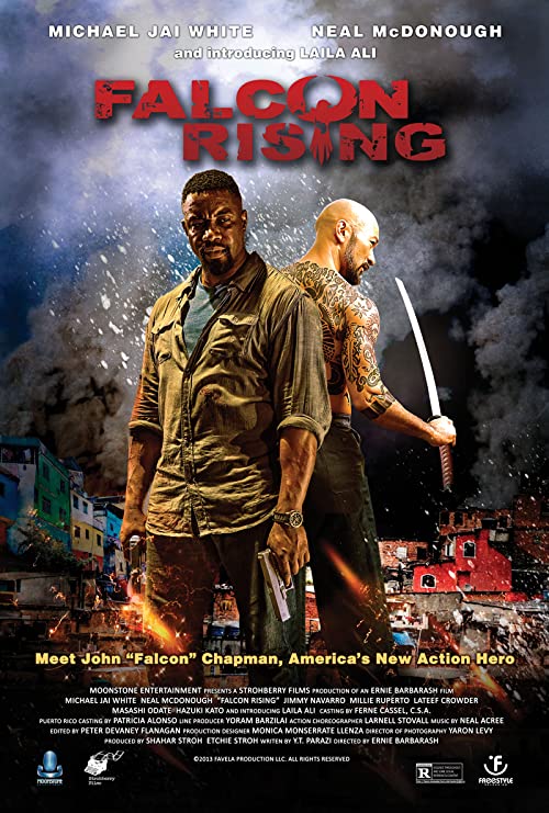 دانلود فیلم Falcon Rising 2014 - فالکون برمیخیزد