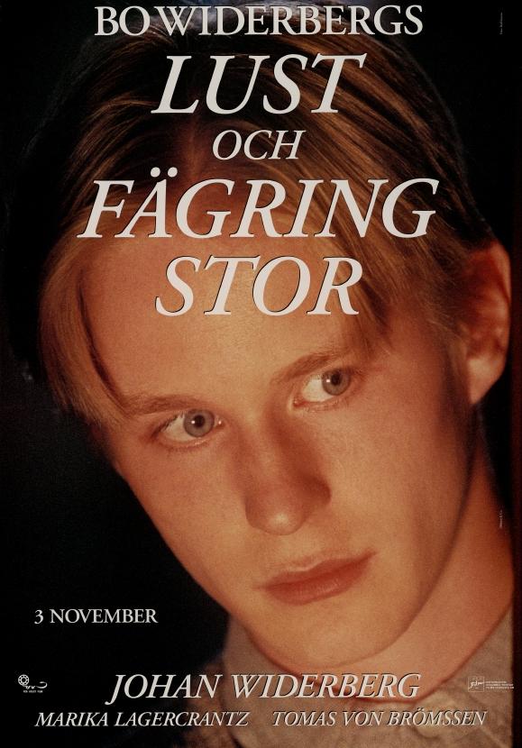 دانلود فیلم Lust och fägring stor 1995 - همه چیز عادلانه است