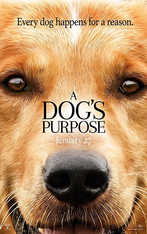 دانلود فیلم هندی A Dog's Purpose 2017 - هدف یک سگ