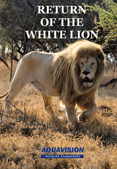 دانلود مستند Return of the White Lion 2008 - بازگشت شیر سفید