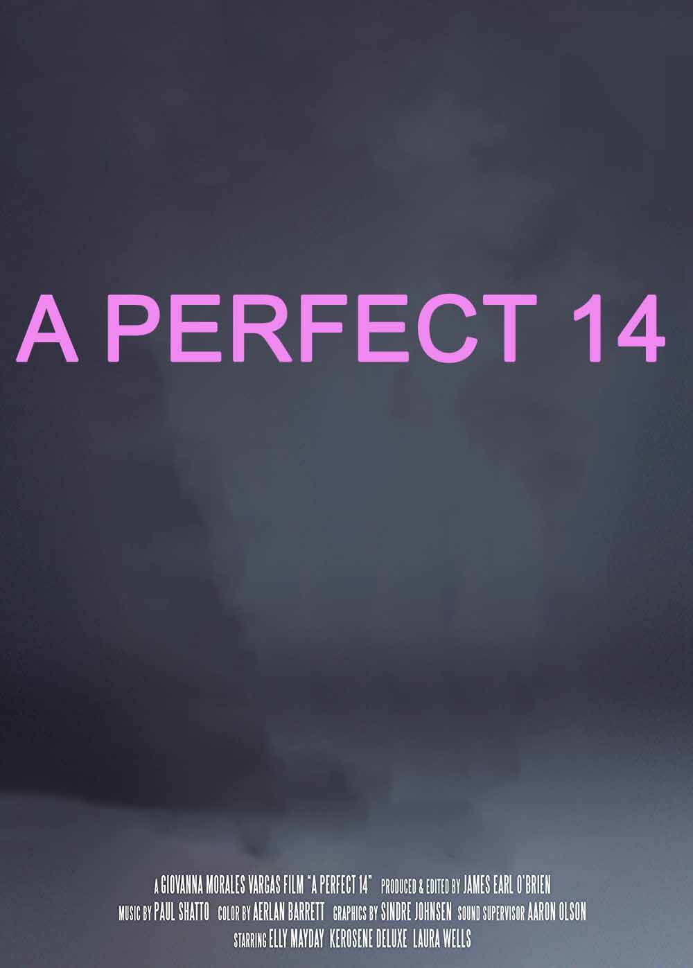 دانلود مستند A Perfect 14 2018 - چهارده کامل