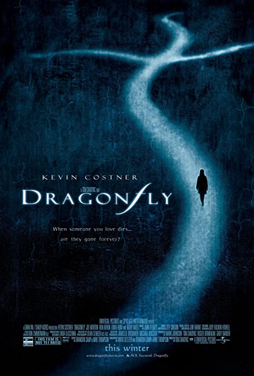 دانلود فیلم Dragonfly 2002 با زیرنویس فارسی