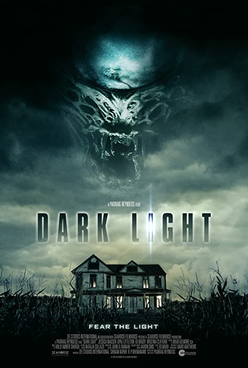 دانلود فیلم Dark Light 2019 - نور تاریک