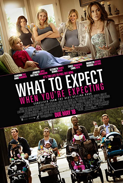 دانلود فیلم What to Expect When You're Expecting 2012 - وقتی حامله هستی باید منتظر چه چیزی باشی