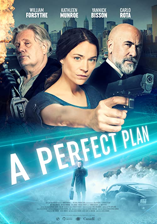 دانلود فیلم A Perfect Plan 2020 - یک برنامه ایده آل