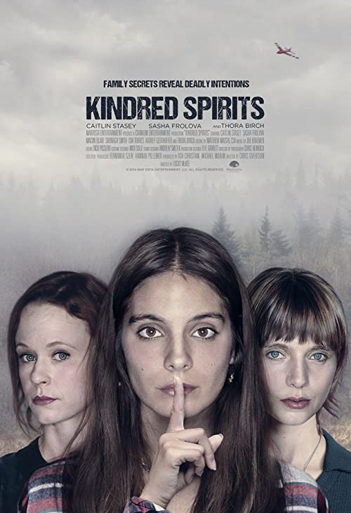 دانلود فیلم Kindred Spirits 2019 - متفق الفکر