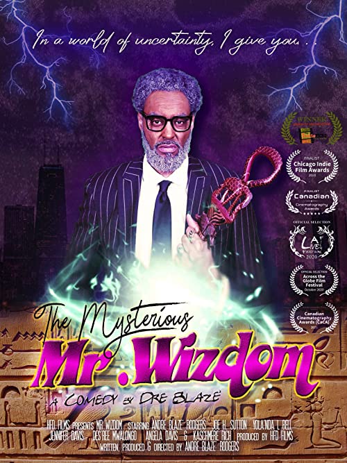 دانلود فیلم The Mysterious Mr. Wizdom 2020 - آقای ویزدام مرموز