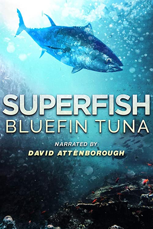 دانلود مستند Superfish Bluefin Tuna 2012 - سوپر ماهی بلوفین تن