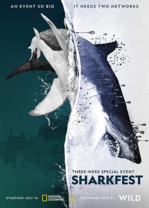 دانلود مستند Man vs. Shark 2019 - انسان و کوسه