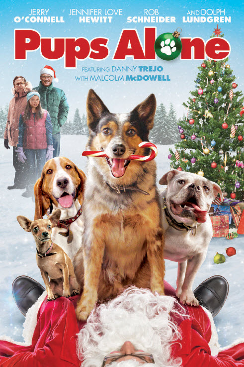 دانلود فیلم Pups Alone 2021 - سگ ها در خانه
