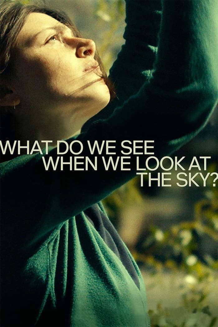 دانلود فیلم What Do We See When We Look at the Sky? 2021 - وقتی به آسمان نگاه می‌ کنیم چه می‌ بینیم