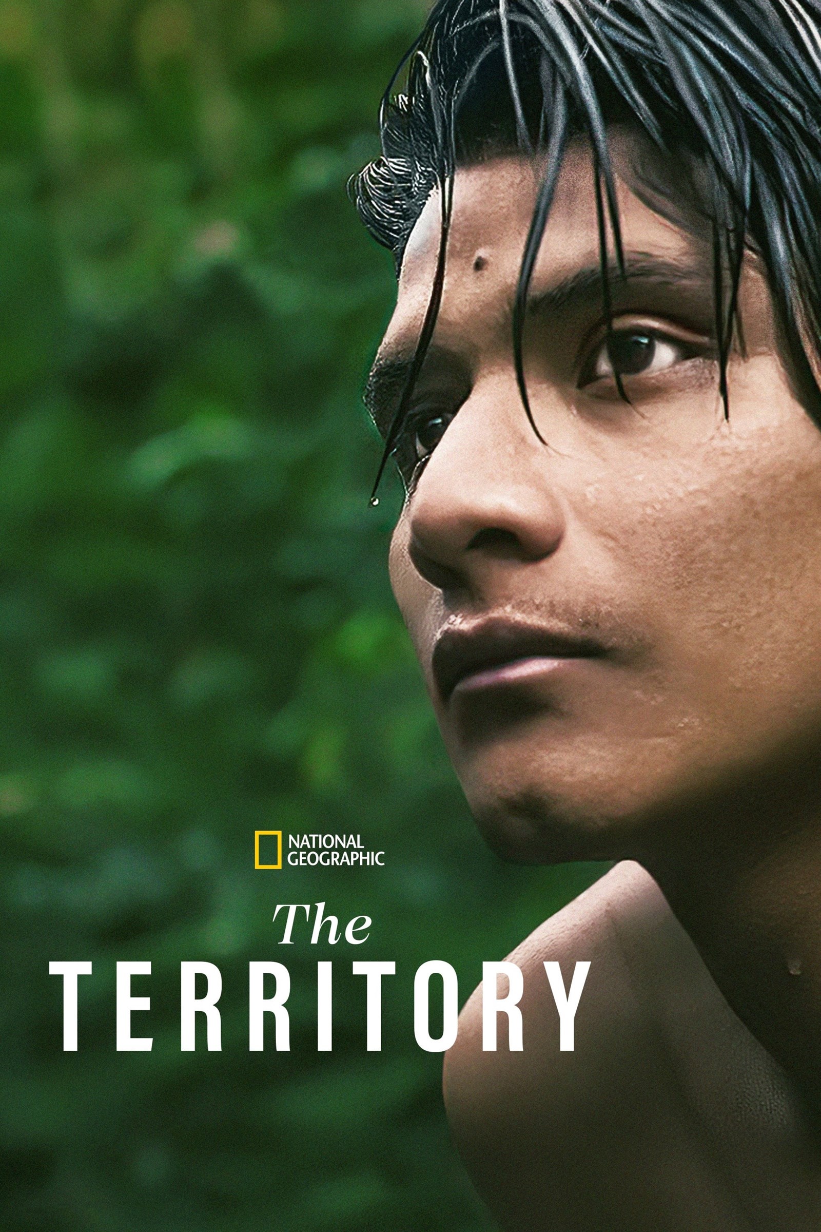 دانلود فیلم The Territory 2022 - قلمرو