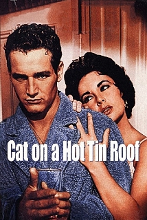 دانلود فیلم Cat on a Hot Tin Roof 1958 - گربه روی شیروانی داغ