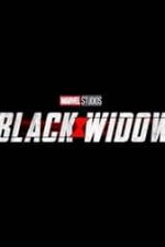 دانلود زیرنویس فارسی فیلم
Black Widow 2021
