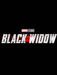 دانلود زیرنویس فارسی فیلم
Black Widow 2021