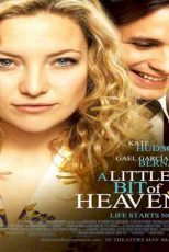 دانلود زیرنویس فیلم A Little Bit of Heaven 2011