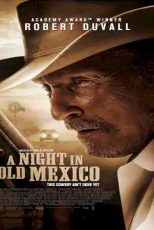 دانلود زیرنویس فیلم A Night in Old Mexico 2013