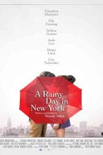دانلود زیرنویس فیلم A Rainy Day in New York 2019
