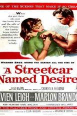 دانلود زیرنویس فیلم A Streetcar Named Desire 1951