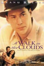 دانلود زیرنویس فیلم A Walk in the Clouds 1995