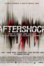دانلود زیرنویس فیلم Aftershock 2012