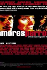 دانلود زیرنویس فیلم Amores perros 2000