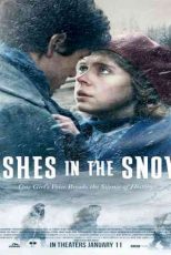دانلود زیرنویس فیلم Ashes in the Snow 2018