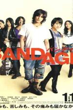 دانلود زیرنویس فیلم Bandage 2010