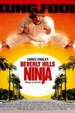 دانلود زیرنویس فیلم Beverly Hills Ninja 1997