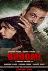 دانلود زیرنویس فیلم Bhoomi 2017