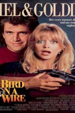 دانلود زیرنویس فیلم Bird on a Wire 1990