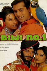 دانلود زیرنویس فیلم Biwi No.1 1999