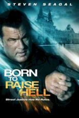 دانلود زیرنویس فیلم Born to Raise Hell 2010