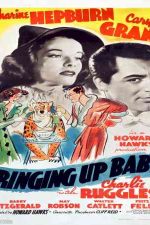 دانلود زیرنویس فیلم Bringing Up Baby 1938
