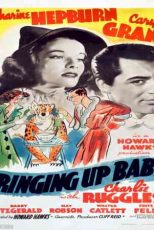 دانلود زیرنویس فیلم Bringing Up Baby 1938