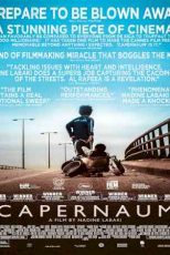 دانلود زیرنویس فیلم Capernaum 2018