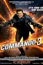دانلود زیرنویس فیلم Commando 3 2019
