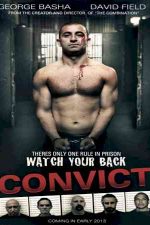 دانلود زیرنویس فیلم Convict 2014