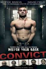 دانلود زیرنویس فیلم Convict 2014